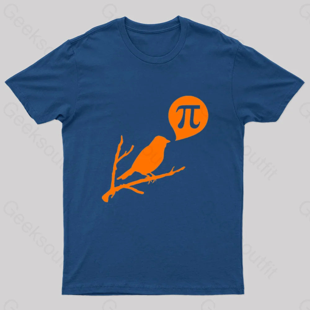 Bird Pi Nerd T-Shirt Trendy Women's Oversized