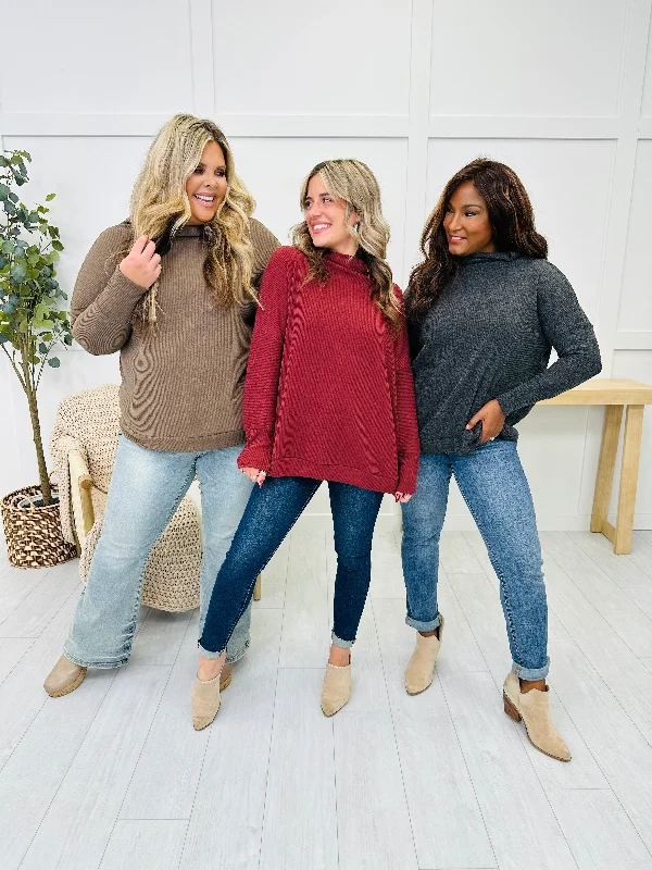 REG/CURVY Plush Comfort Sweater- Multiple Colors! Sophisticated Women's Tailored